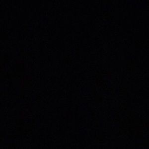 Meet your Posher, Riley